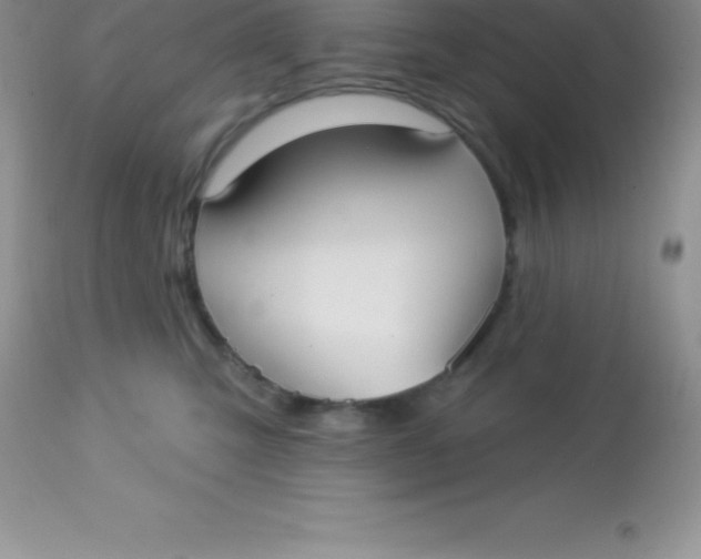 X0000113100423200909182143