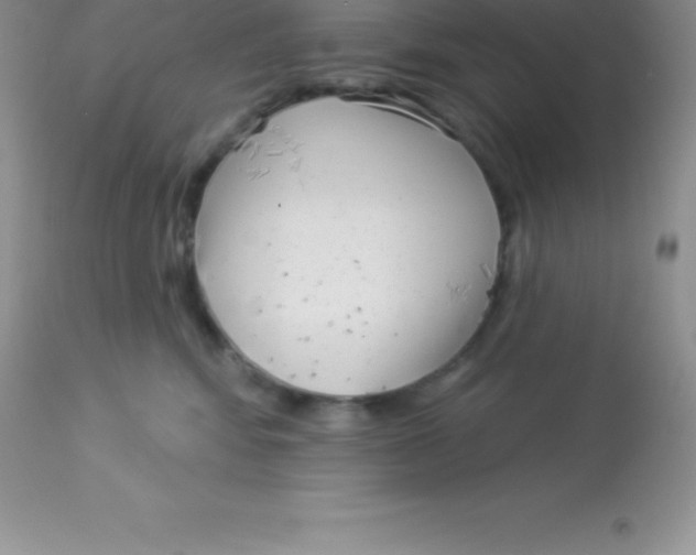 X0000113100424200909182143