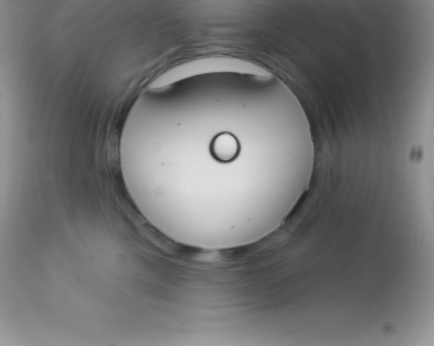 X0000113100425200909182143