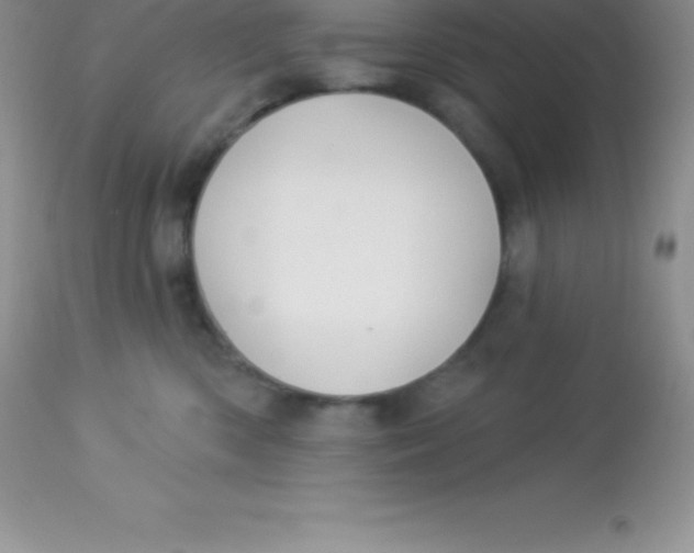 X0000113100426200909182143