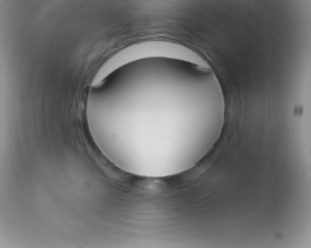X0000113100427200909182143