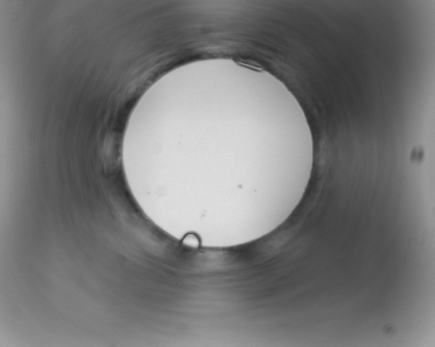 X0000113100428200909182143