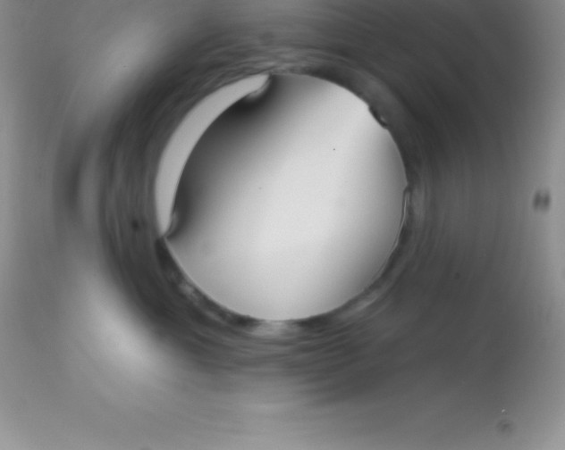 X0000113100429200909182143