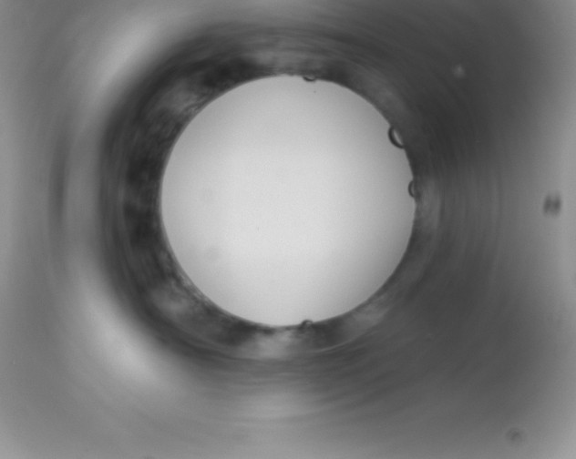 X0000113100430200909182143