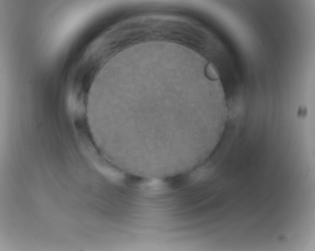 X0000113100431200909182142
