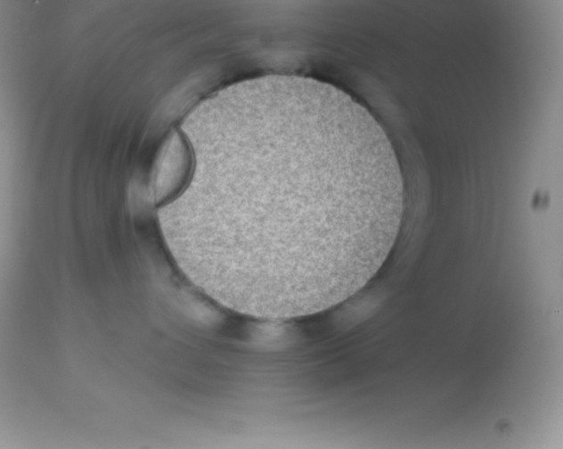 X0000113100432200909182142