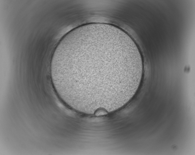 X0000113100433200909182141