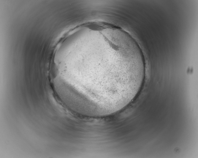 X0000113100434200909182141