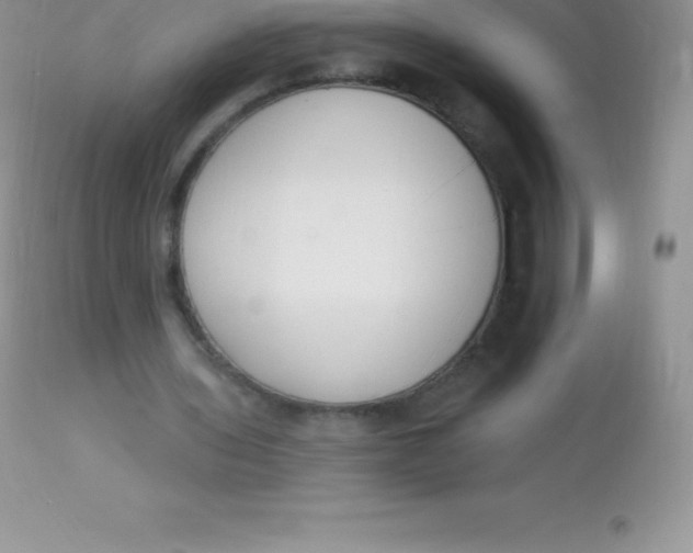 X0000113100435200909182142