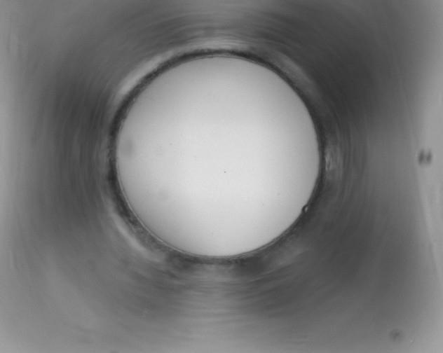 X0000113100436200909182142