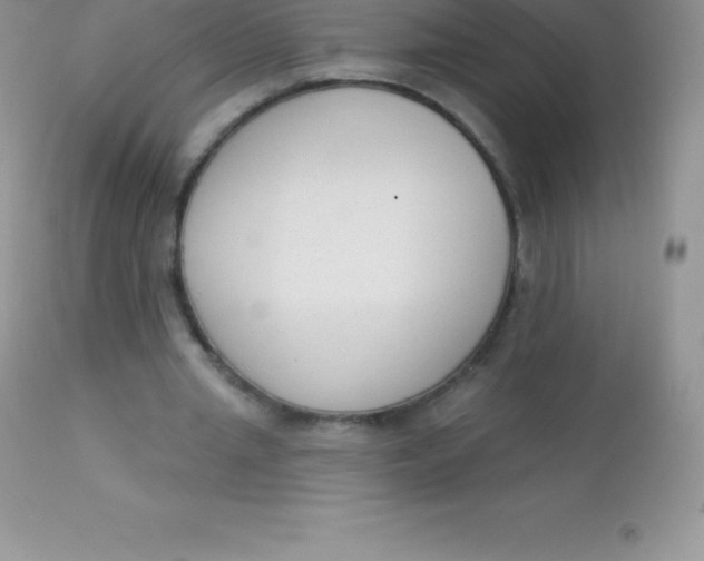 X0000113100437200909182142