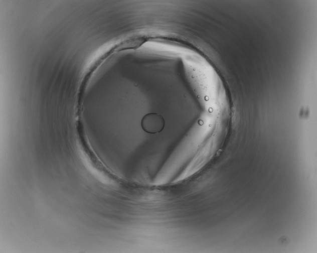 X0000113100438200909182142