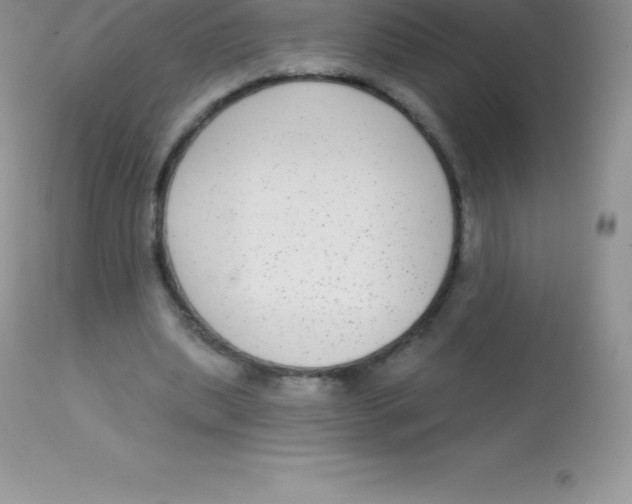 X0000113100439200909182142