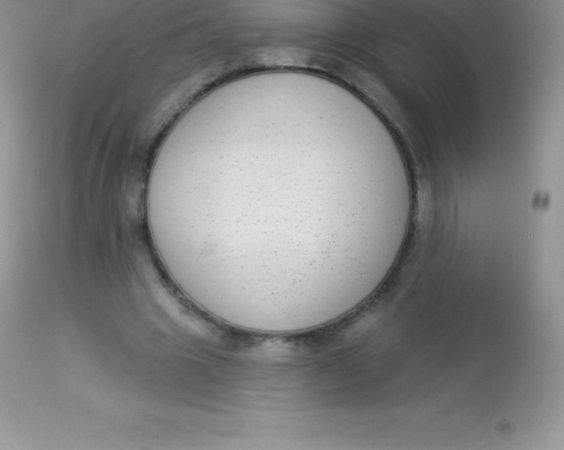 X0000113100441200909182142