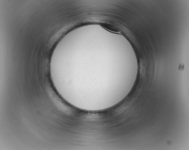 X0000113100445200909182142