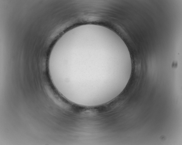 X0000113100447200909182142