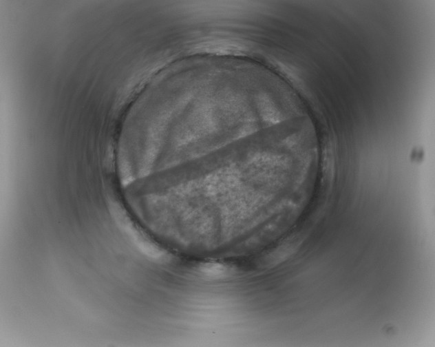 X0000113100453200909182142
