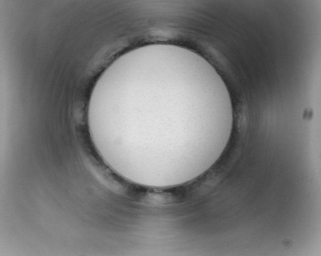X0000113100455200909182142