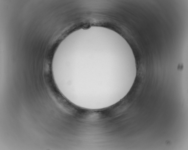 X0000113100456200909182142