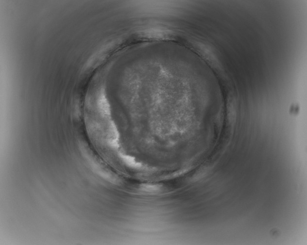X0000113100457200909182142