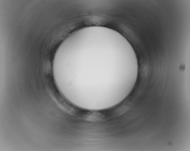 X0000113100459200909182142