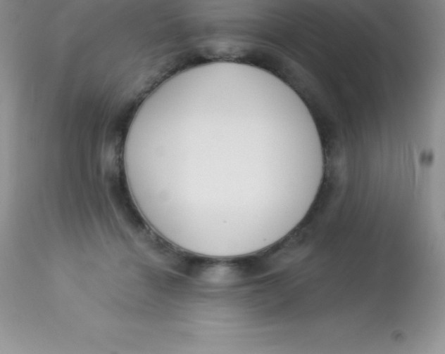 X0000113100460200909182142