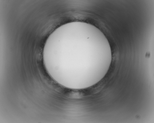 X0000113100464200909182142