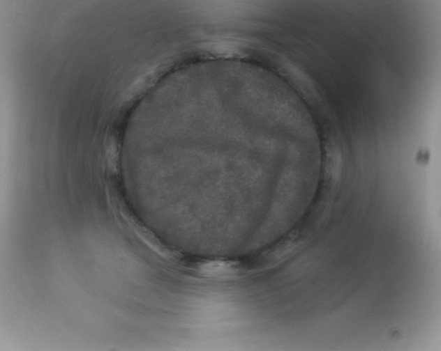 X0000113100465200909182142