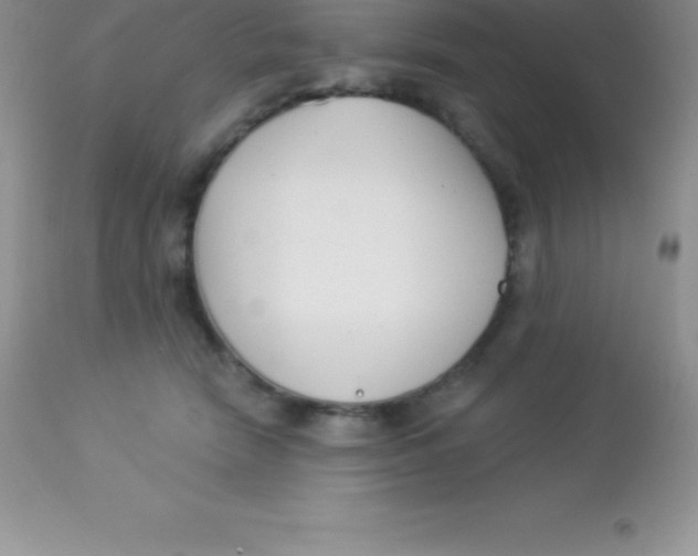 X0000113100466200909182142