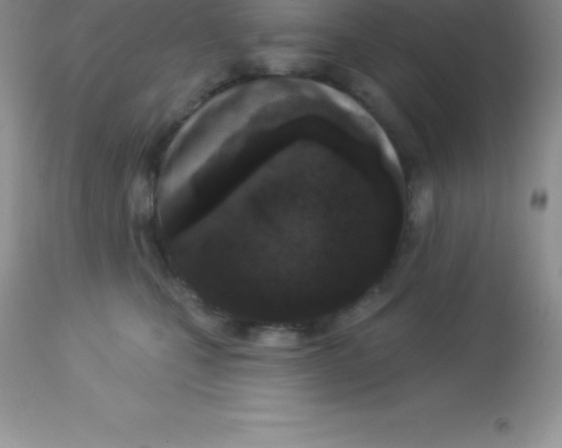 X0000113100471200909182142