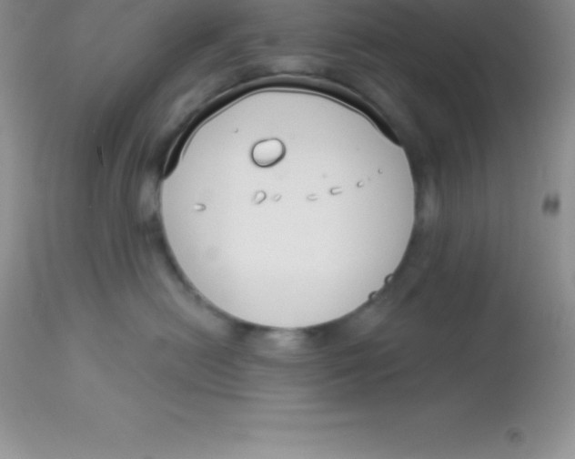 X0000113100478200909182142