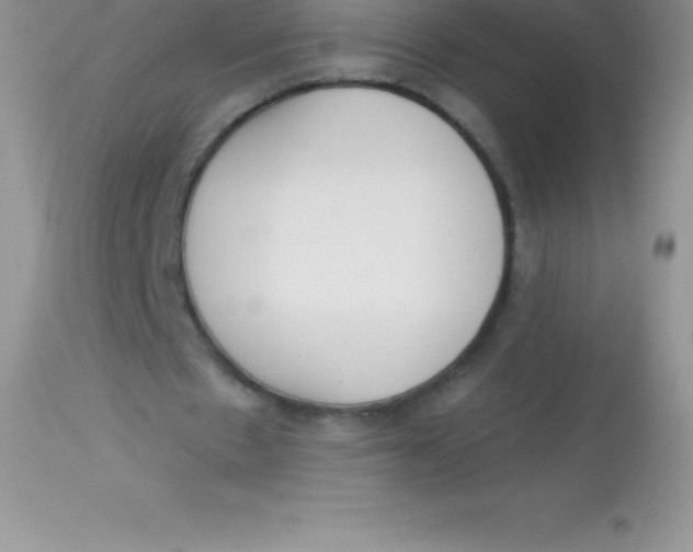 X0000113100481200909182141