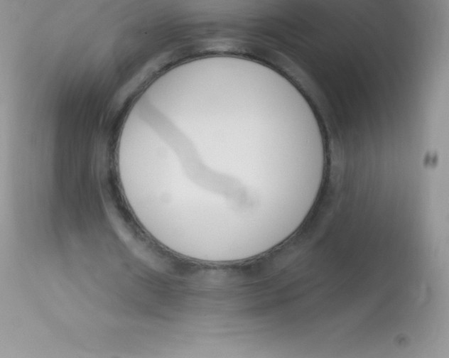X0000113100482200909182141
