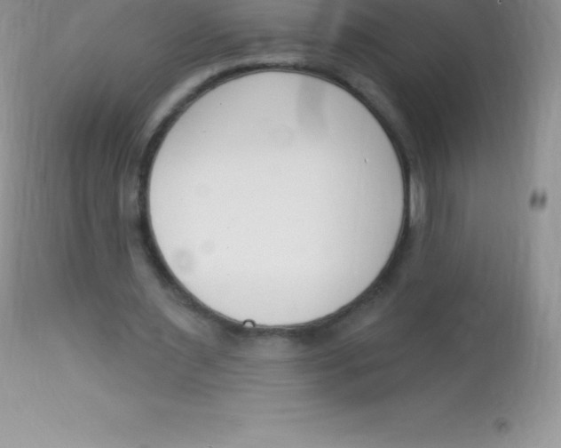 X0000113100483200909182141