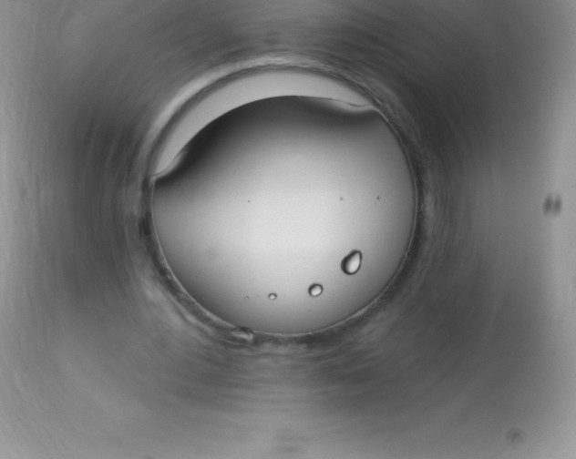 X0000113100484200909182141