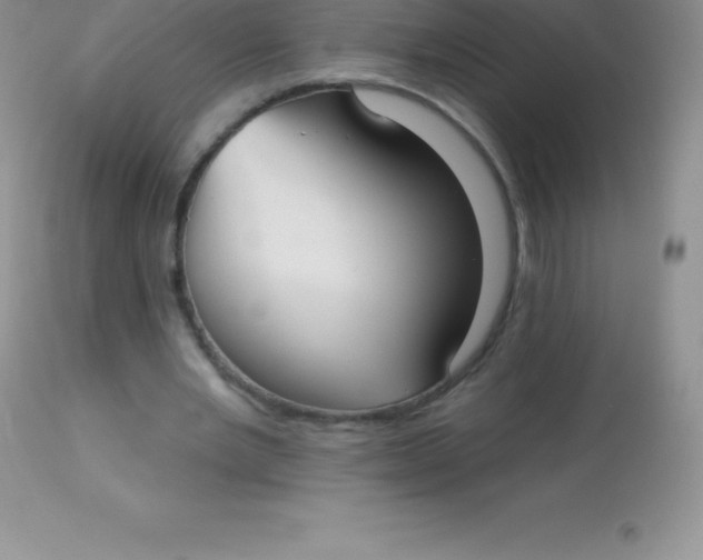 X0000113100485200909182141