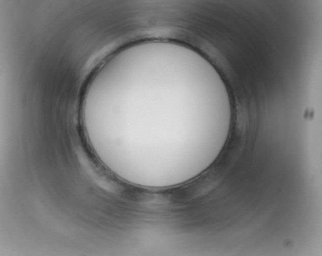 X0000113100486200909182141