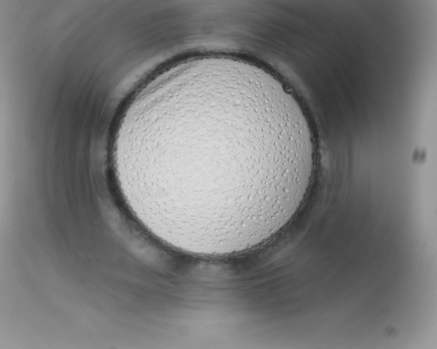 X0000113100487200909182141