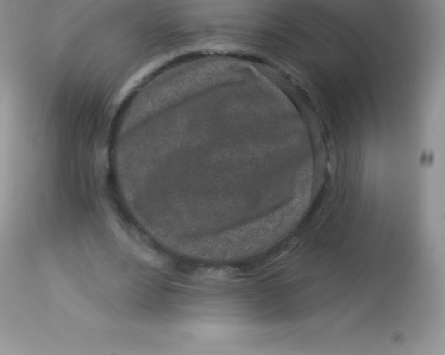 X0000113100488200909182141