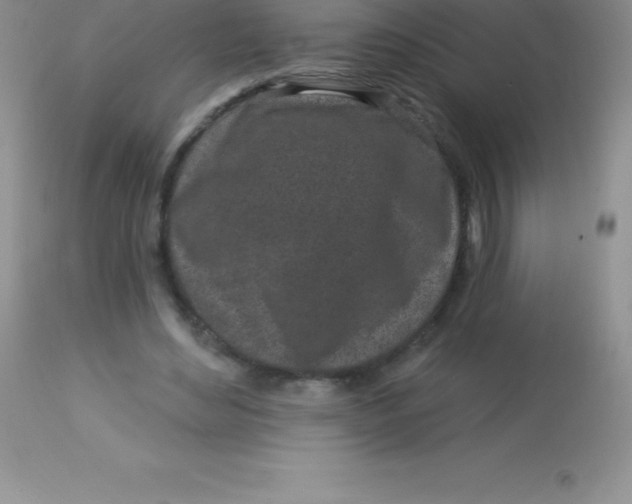 X0000113100492200909182141