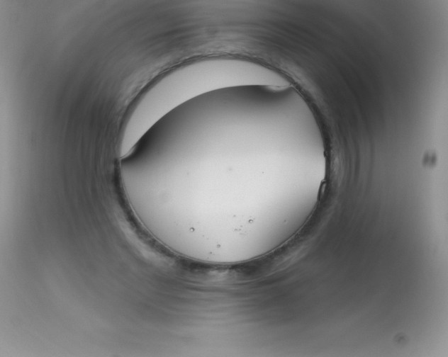 X0000113100493200909182141