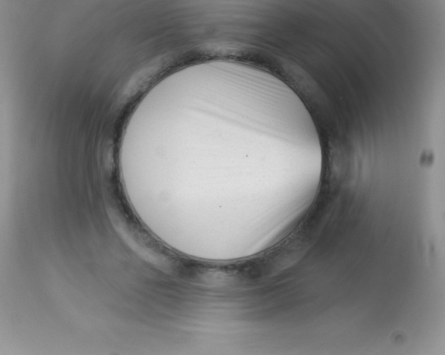 X0000113100494200909182141