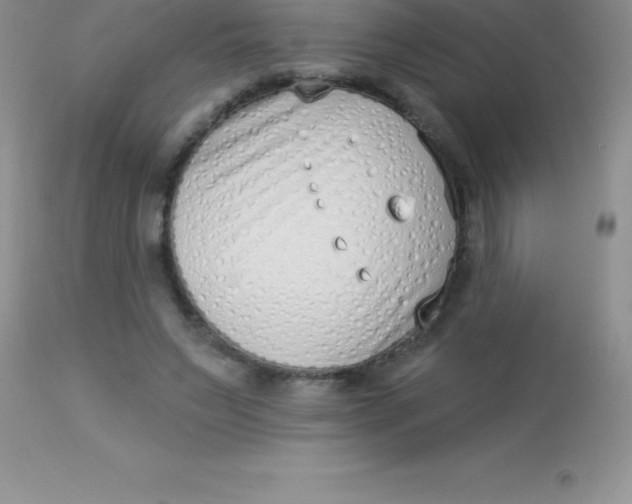 X0000113100495200909182141