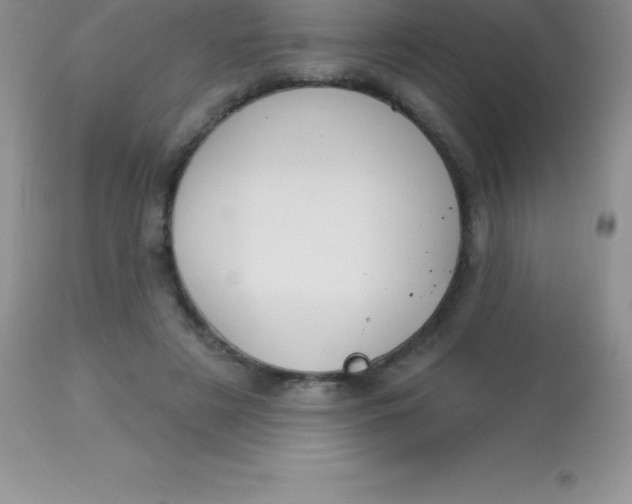 X0000113100497200909182141