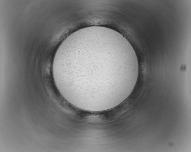X0000113100499200909182141