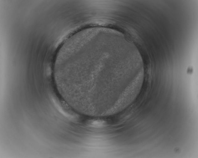 X0000113100500200909182141