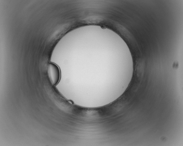 X0000113100501200909182141