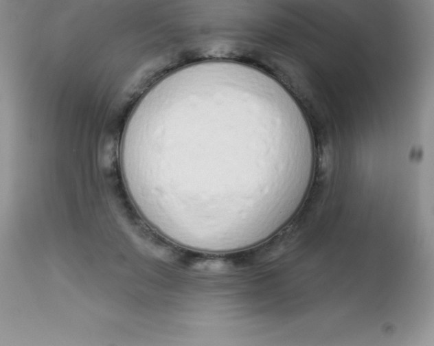 X0000113100503200909182141