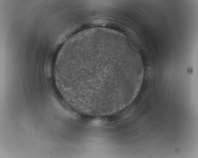 X0000113100504200909182141