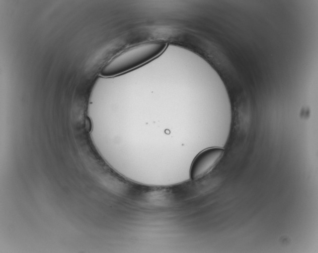 X0000113100505200909182141
